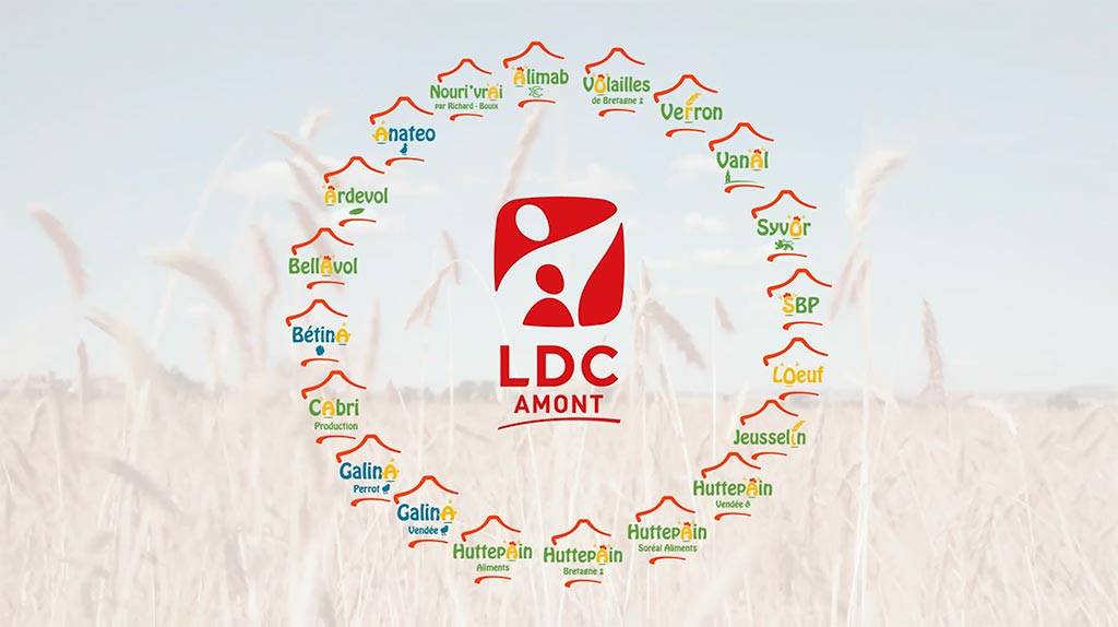 LDC Amont groupe
