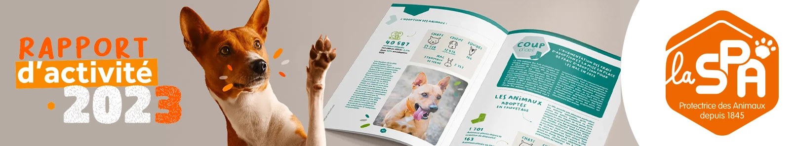 Edition & Rapport : cas client SPA