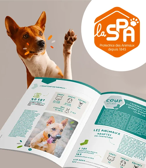 Edition & Rapport : cas client SPA